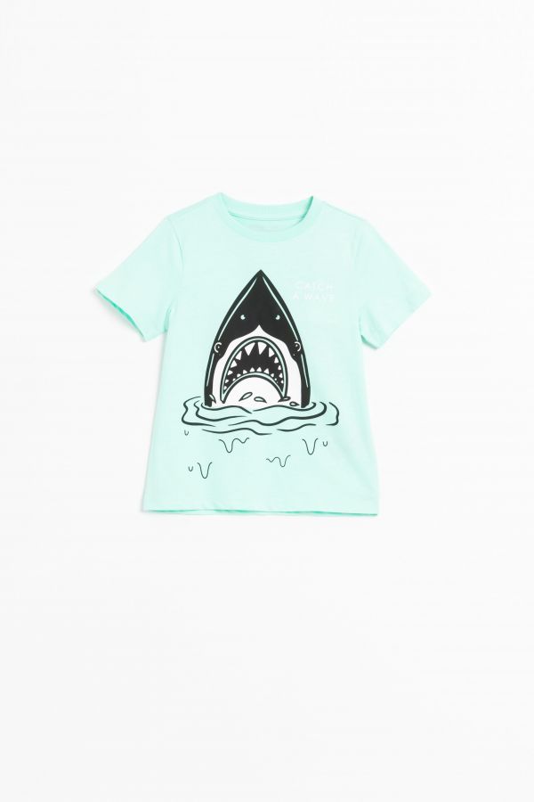 Tričko s krátkým rukávem mátové s obrázkem žraloka na přední straně 2158776