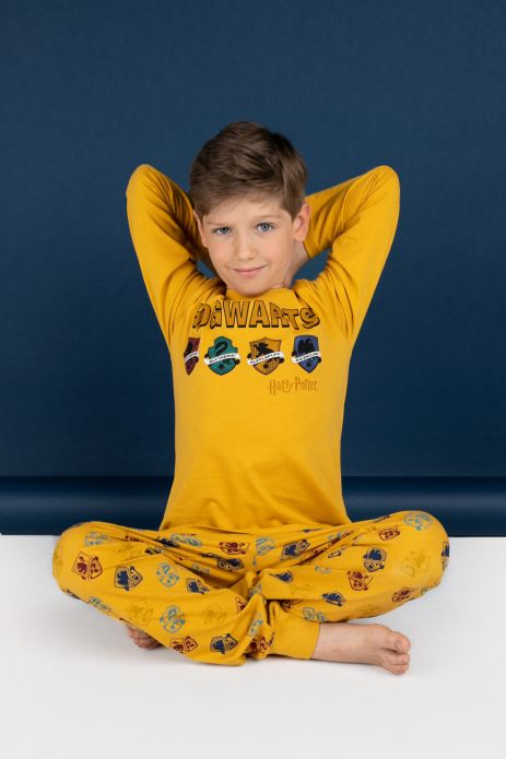 Chlapecké pyžamo vícebarevná, licence HARRY POTTER